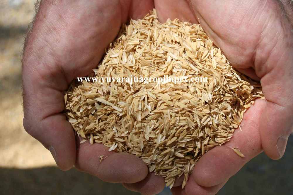 Rice Husk Buy Rice Husk Granules,Rice Husk Pulverizer,Rice Husk Bulk