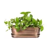 Antique Copper