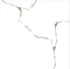 Fossil Bianco