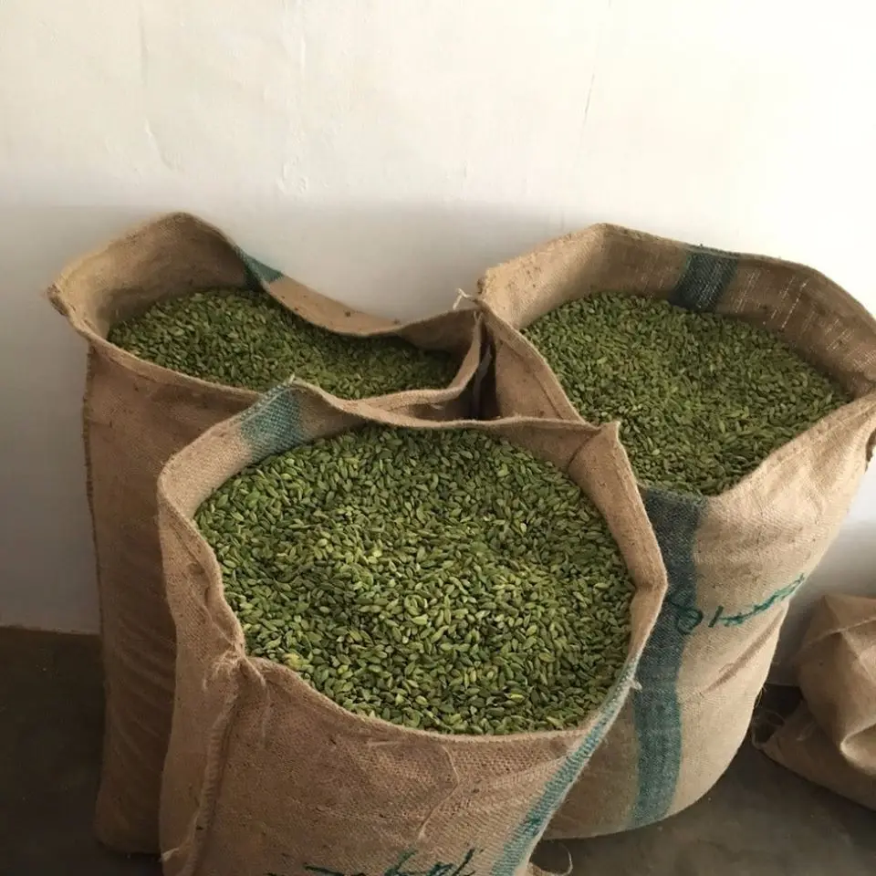 Quality Fresh Green Cardamom