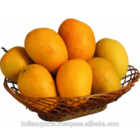 3 (2).png