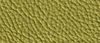 8109 Citron vert