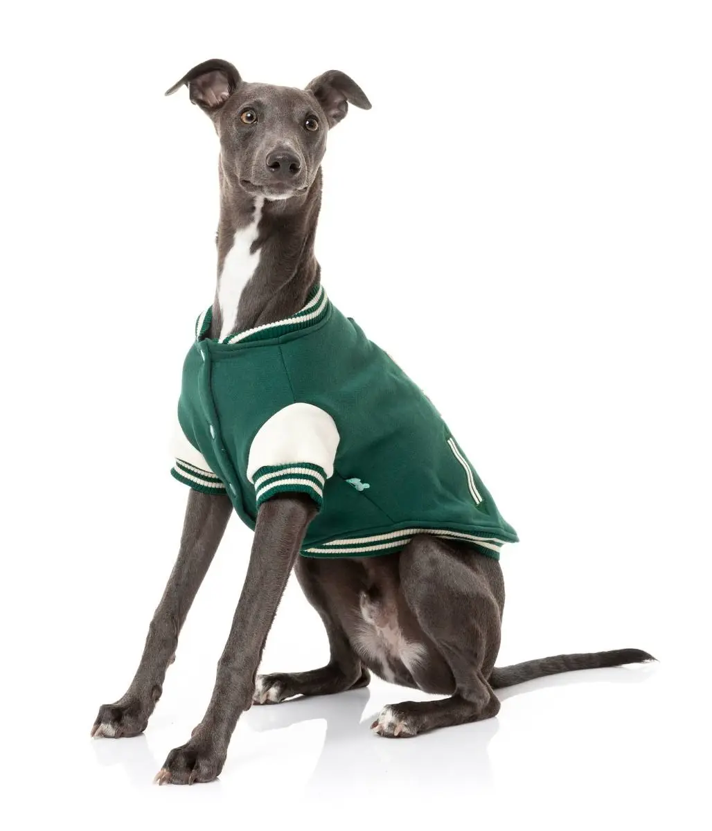 The Letterman Jacket Green Comfortable Adventure Jacket Pet Clothes