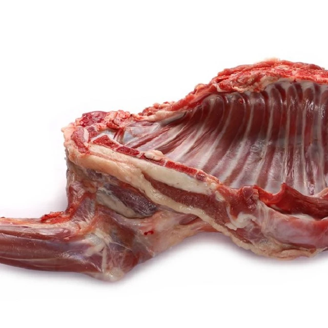 gote1.jpg