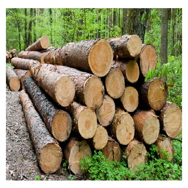 timber6.jpg