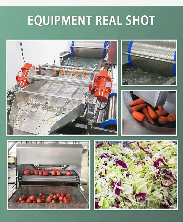 Broccoli Green Leaf Cabbage Potato Carrot Lettuce Pre Cut Vegetable Salad Processing Line factory