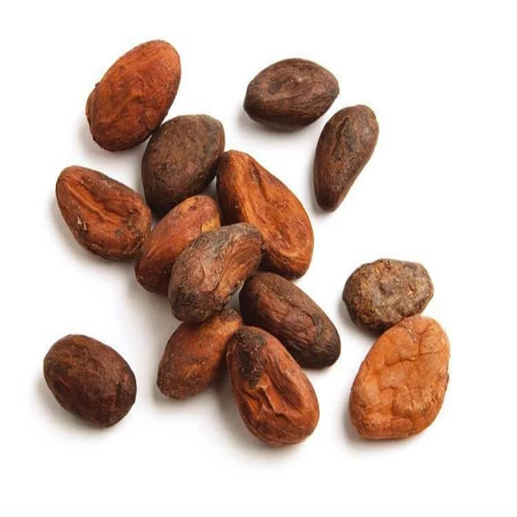 Organic Cocoa Beans100g.jpg