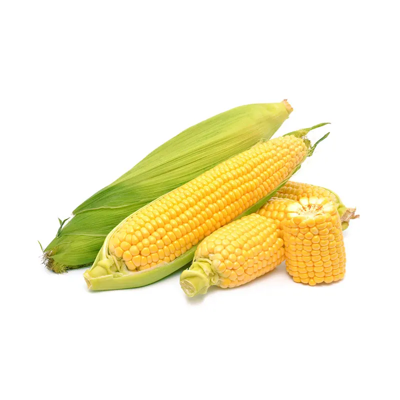 corn.jpg