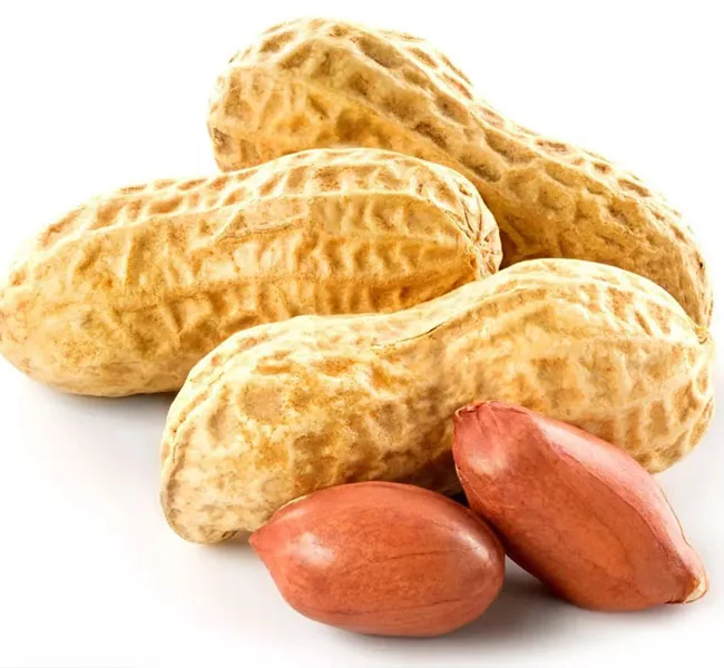 Red Groundnut Blanched Ground Nuts Red Skin Saiz 29/33, Roasted Raw Groundnut Seeds