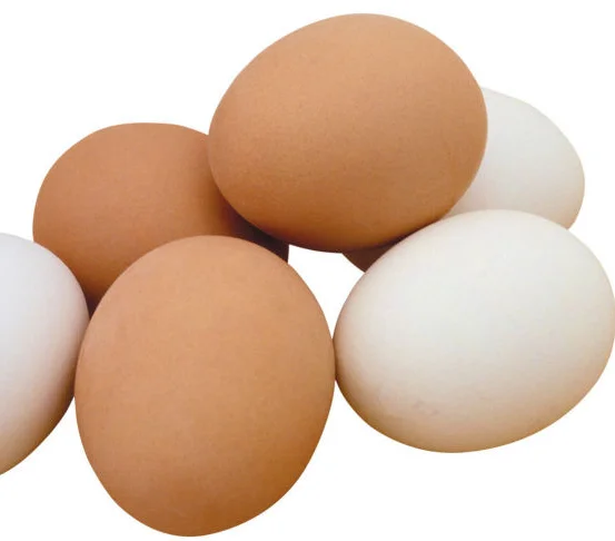 5 (1).png