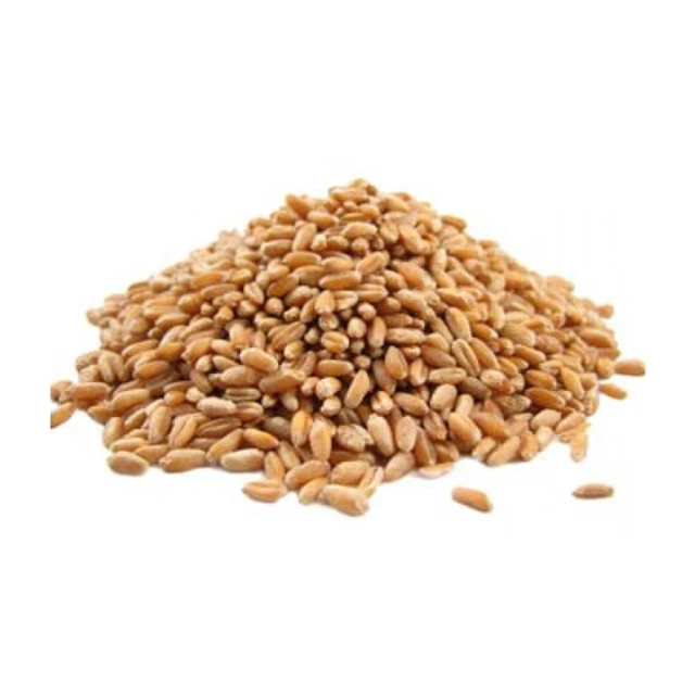 Премиум-качества из цельного зерна пшеницы хлопья Зерен Пшеницы для человеческого потребления