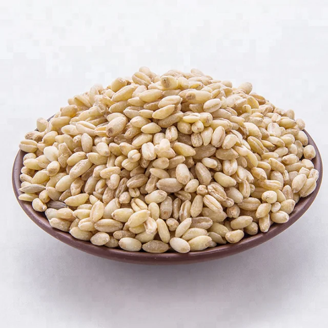 3 (1).png
