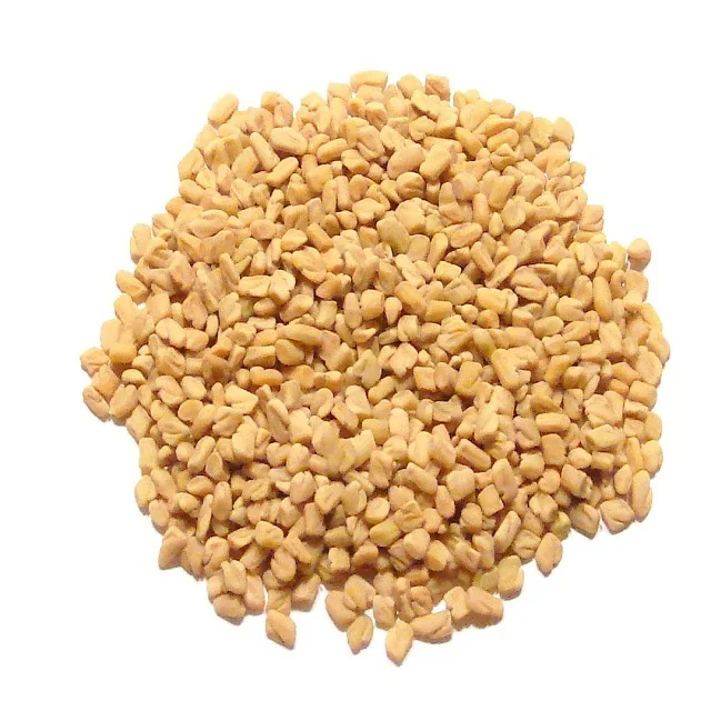 aa6