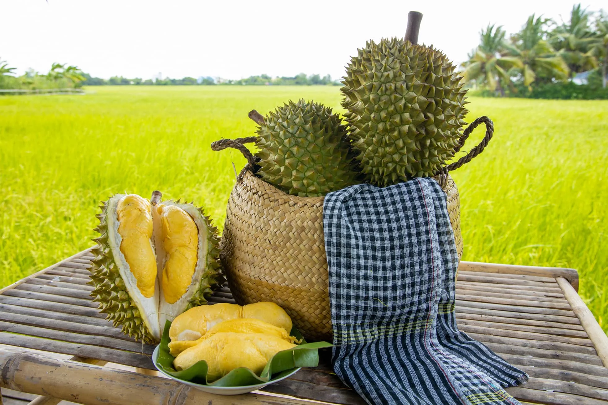 fresh durians