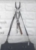sliver
