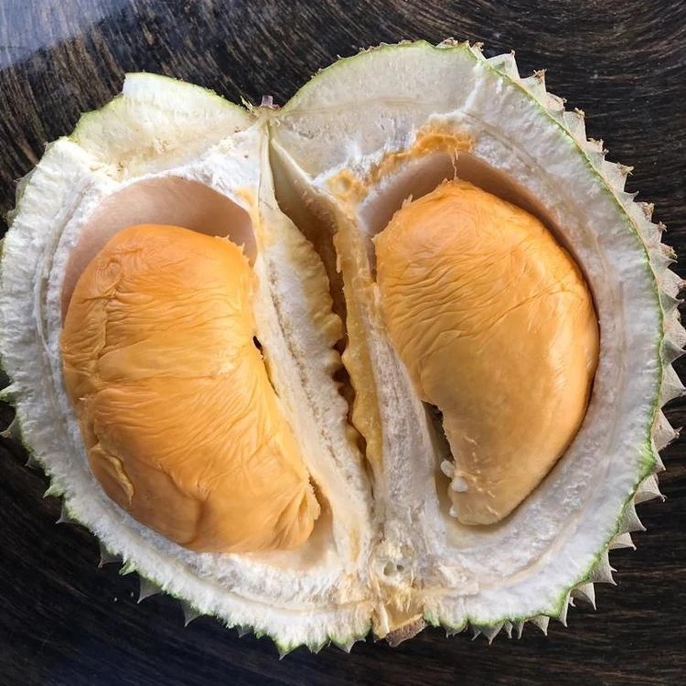 Black thorn durian