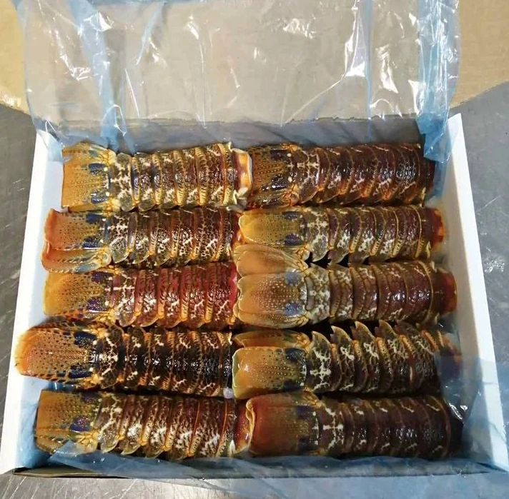 Lobster Tail.jpg