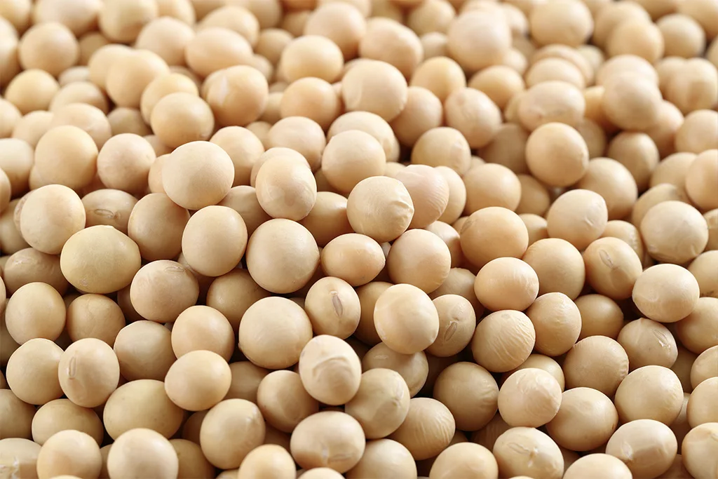 SOYBEANS (2).jpg