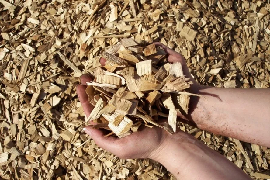 Hot Offer Ready To Deliver As Export Standard Wood Chips Peeled Acacia 2 10mm From Factory In