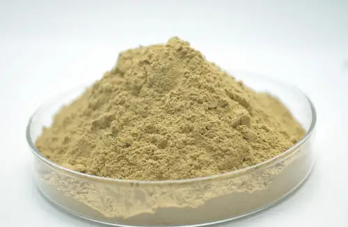 bendonite-api-500x500.jpg
