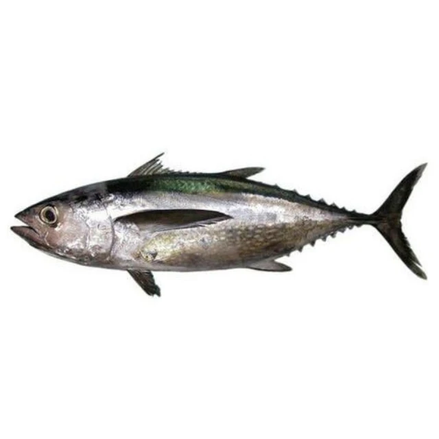 high quality canned tuna fish with lower price