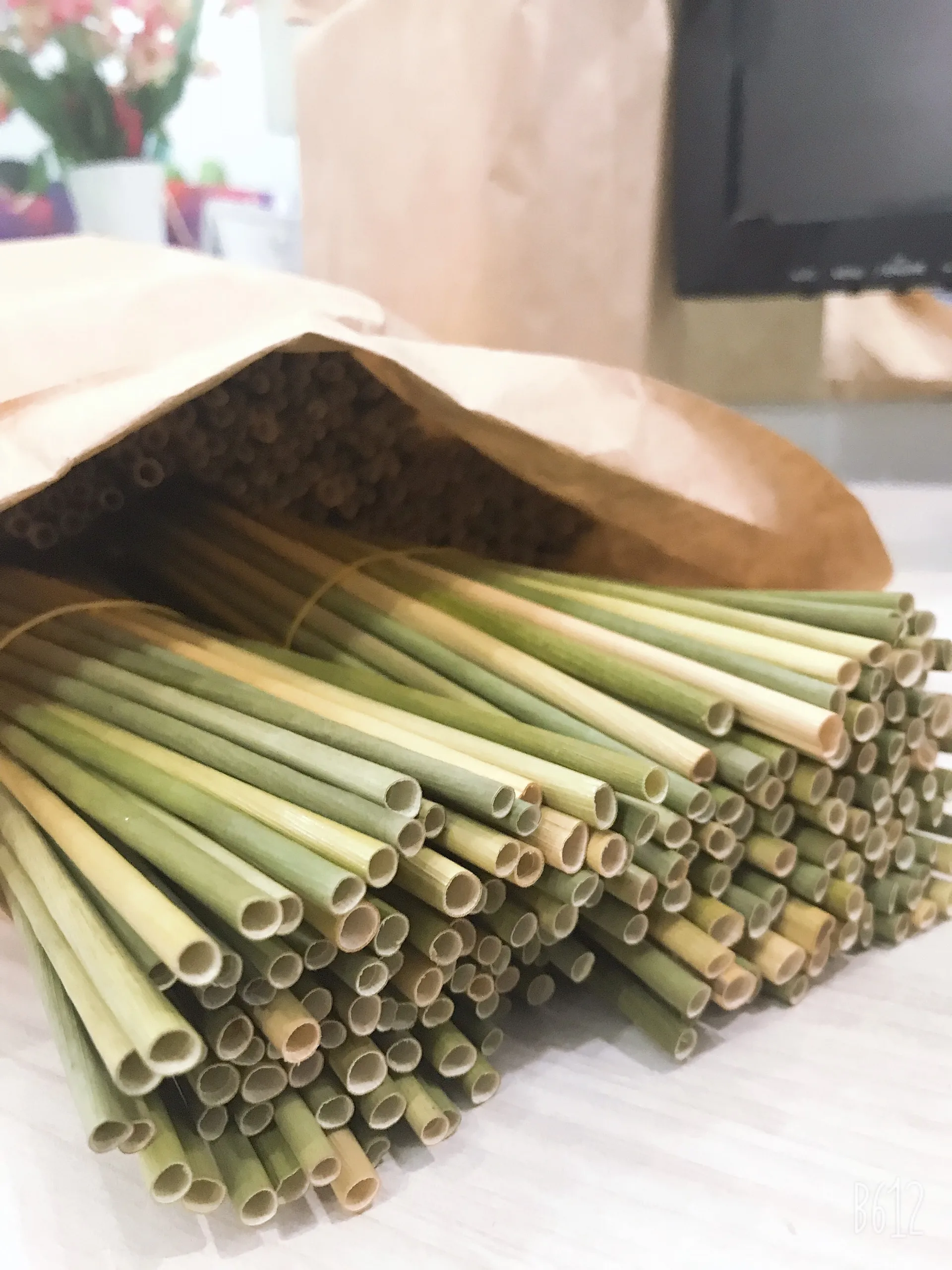 Ecofriendly Disposable Grass Straw Eco Friendly Straw Fuszal