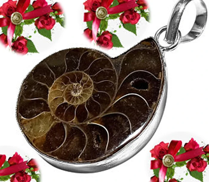 Ammonite fossil 925 silver plated pendant, antique jewelry supplier