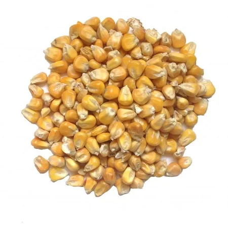 maize.jpg