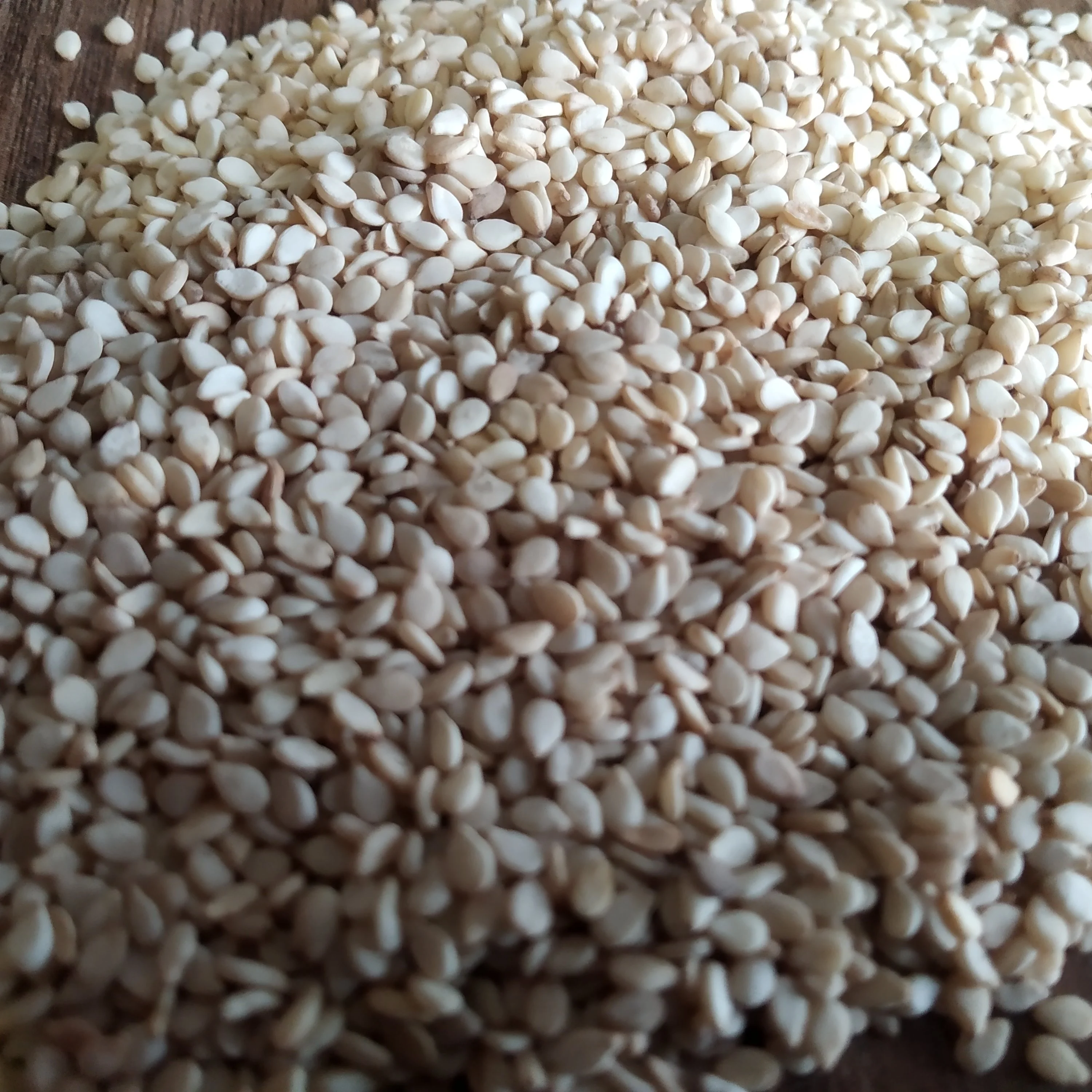 在国际价格白芝麻 Buy Natural Sesame Raw Sesame Sesame For Export Product On Alibaba Com