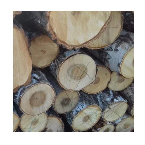 Russian Birch Wood Logs Timber