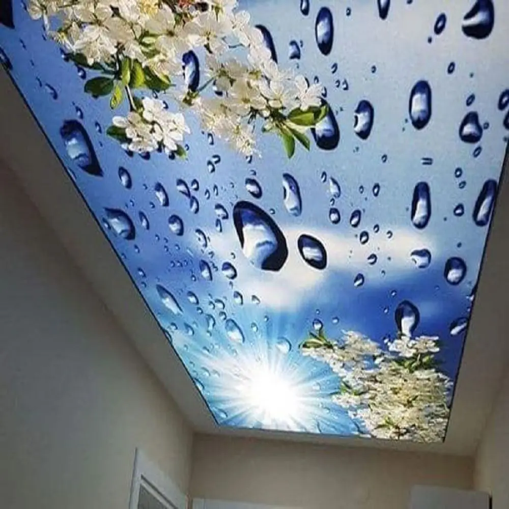 Shanghai Stretch Ceiling Material Supplier UV 3D Digital Printing Luminaire PVC False Ceiling Detail Cheap Price Cost Canada