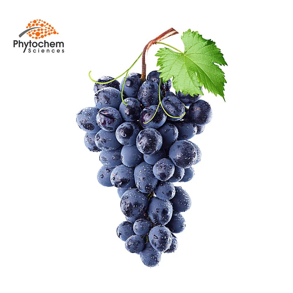 自有品牌健康提取物 花青素 法国葡萄籽提取物机 Buy 葡萄籽提取物 花青素 法国葡萄籽提取物 葡萄籽提取物机