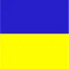 Blue with yellow