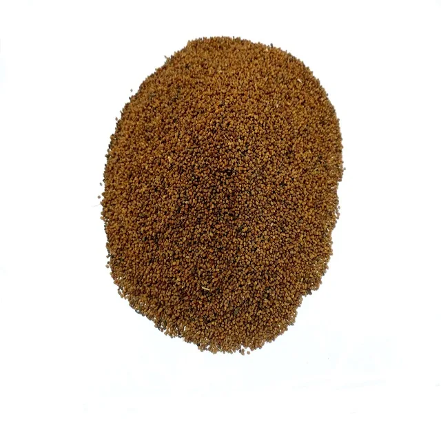 10000 5000 Andrographis paniculata Kalmegh 2000 50000 bulk seeds 10000 5000 Andrographis paniculata Kalmegh 2000 50000 bulk seeds