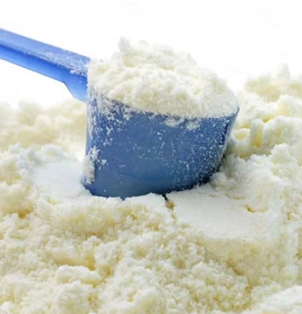 Milk powder and cream powder and powder analogues