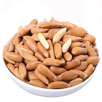 Pine nut in shell for sale