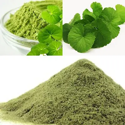 CENTELLA ASIATICA LEAVES / GOTU KOLA LEAVES / PENNYWORT LEAVES POWDER