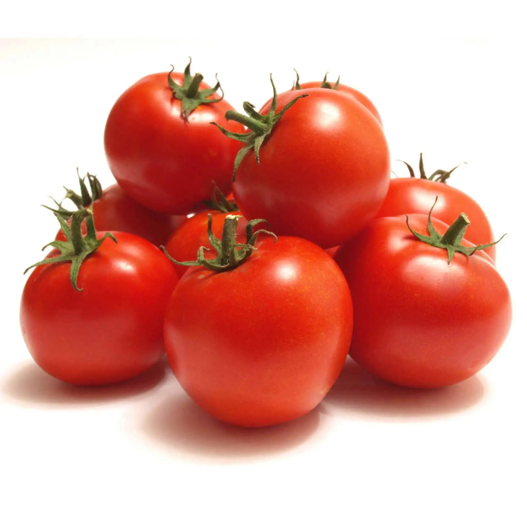 vegetable fresh tomatoes in bulk - buy fresh cherry tomatoes for