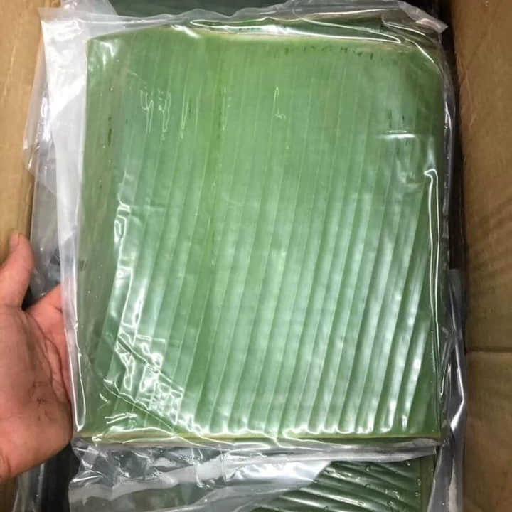 Вьетнамские Замороженные банановые листья свежие высокого качества + 84947900124