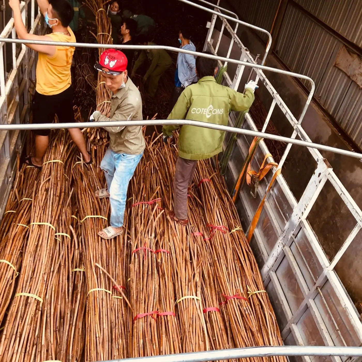 Rattan Cane bing Material Raw Rattan Fiber Core Stick Many Size
