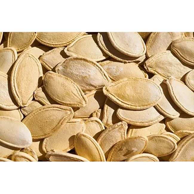 bulk sale snow white pumpkin seeds (9-10cm, 11cm, 13cm, 14cm)