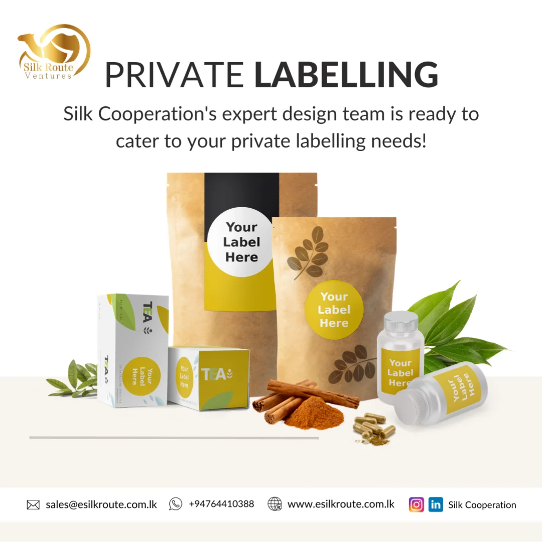 Специи одиночные и травы, сушеные натуральные органические, Шри-Ланка, чистый свежий длинный мускатный орех целиком, распродажа