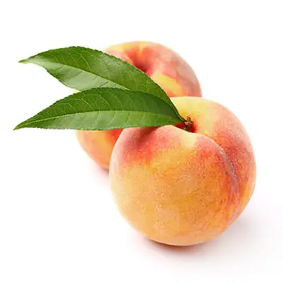 
Доступные предложения для качества свежих персиков для продажи в Азии и Европе 