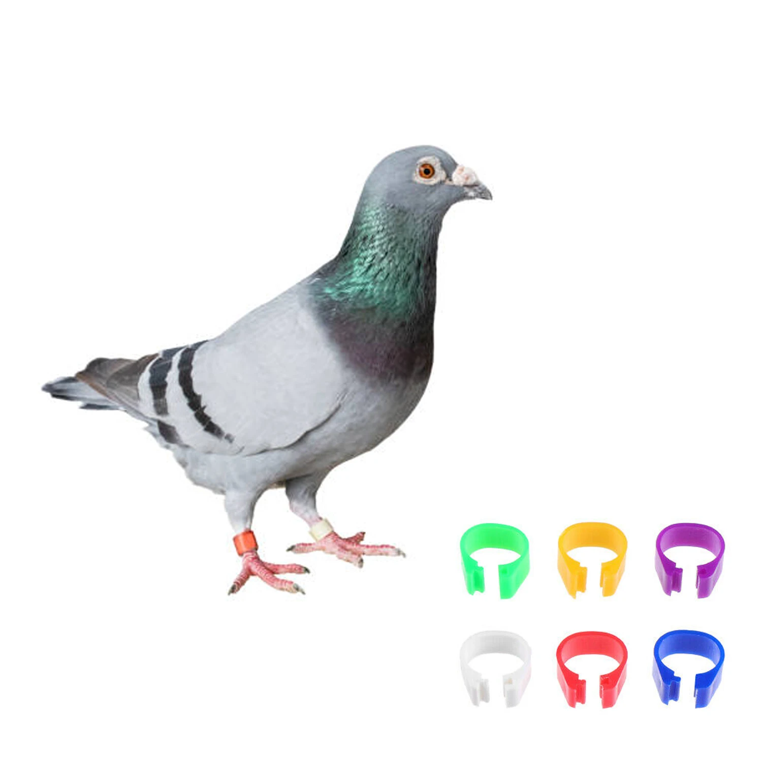 Stainless Steel Leg Ring Cutter For Birds Durable Other Pet Products