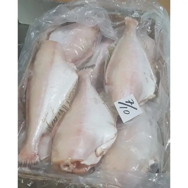 high grade seafood/leather jacket fish from pakistan origin