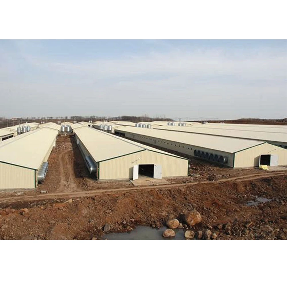 Chicken Farm Building Semi Control Shed Chicken House Quail Butchery Open Sided Poultry House