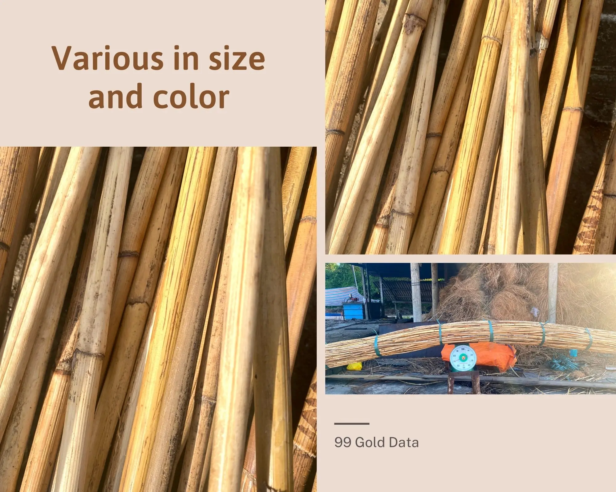 100% Nature Dry Straight Rattan Bamboo Pole Polished Rattan Manau Cane ...