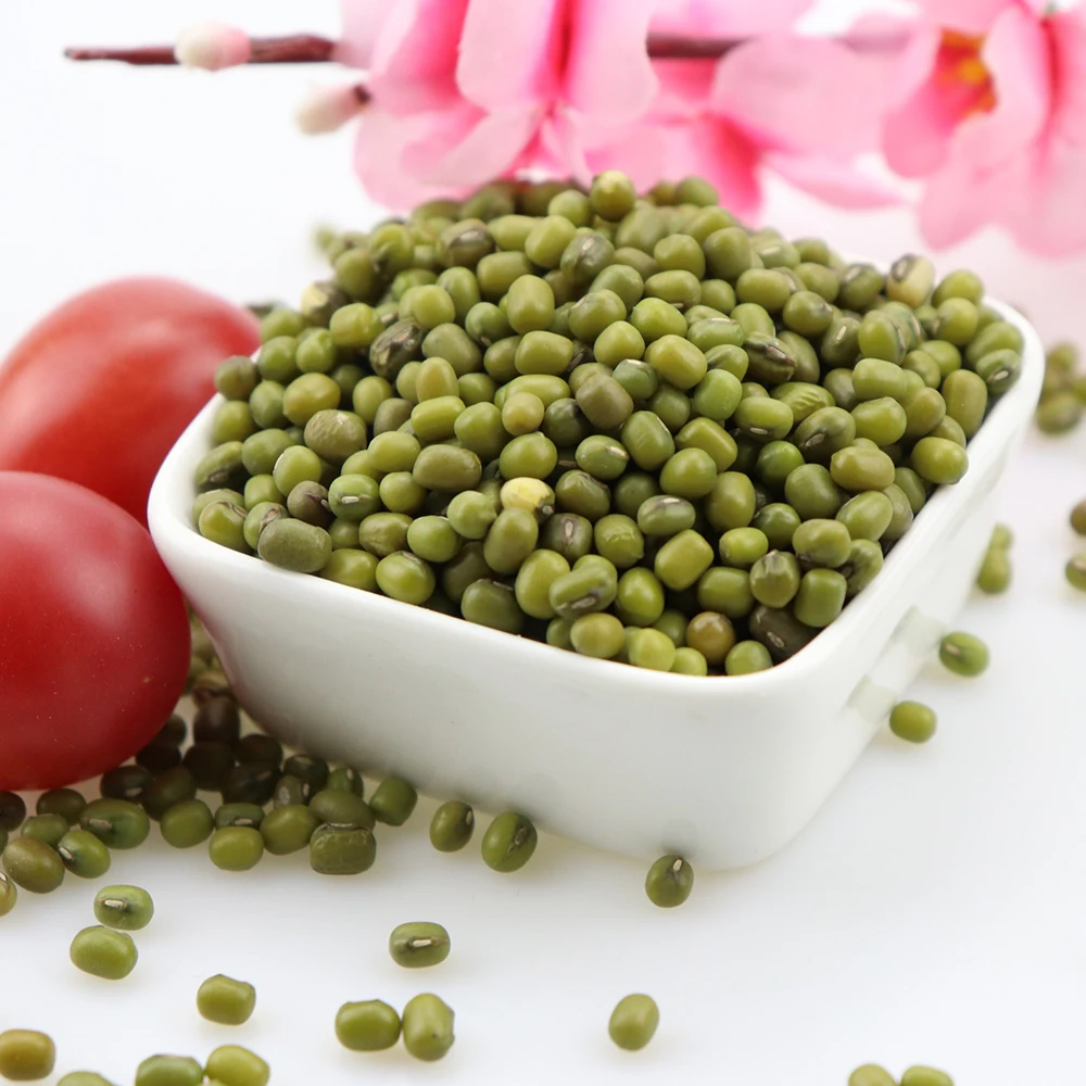 green mung bean moong dal sprout mung beans use for sale