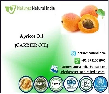 Excellent Quality Of Apricot Kernel Oil Suppliers In India Coa Certified Apricot Kernel Oil Buy Coa Certified Apricot Kernel Oil Exporter High Quality Apricot Kernel Oil Bitter Apricot Kernel Oil Product On