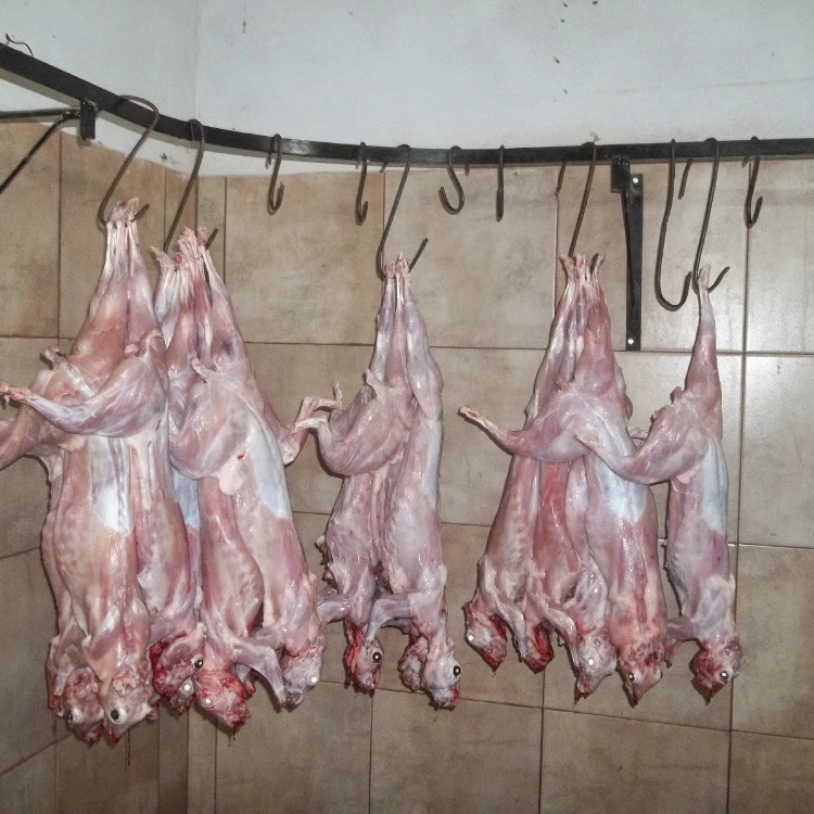 fresh rabbit meat for sale near me